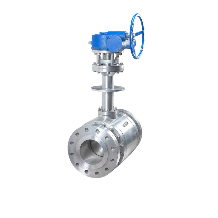 Cryogenic Check Valve